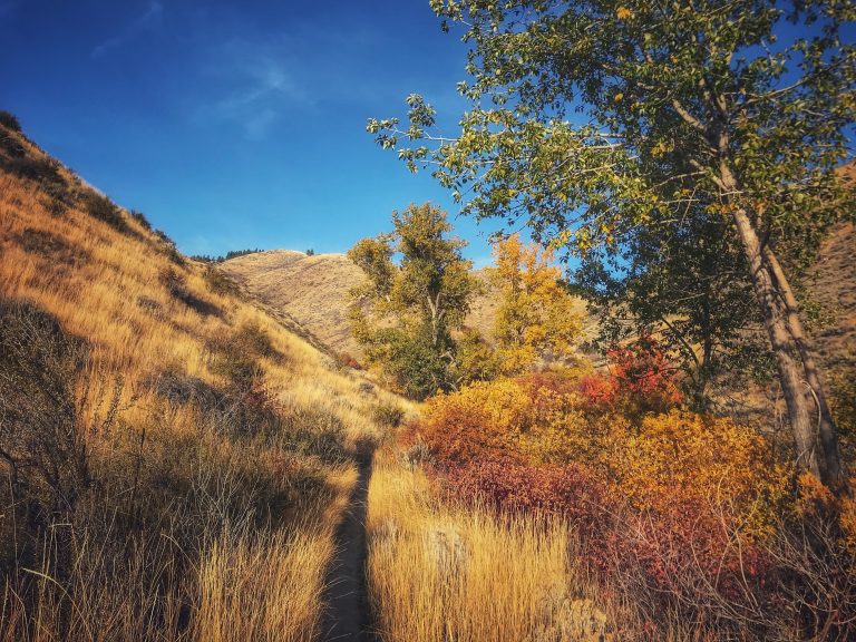 Best Hikes In Boise » Boise Trails